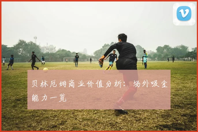 贝林厄姆商业价值分析：场外吸金能力一览